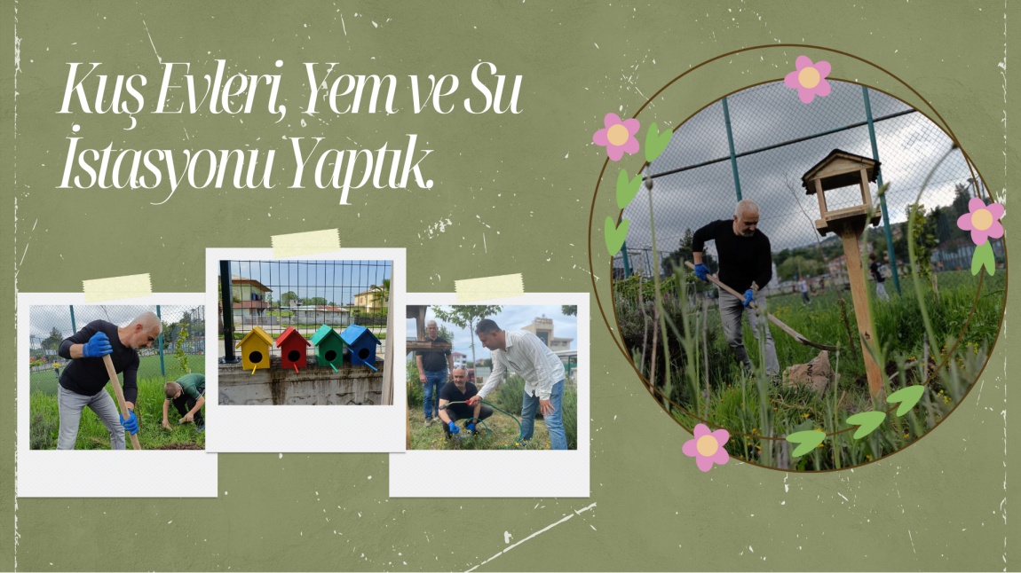 KUŞLARA YUVAMIZDA YER AÇTIK!